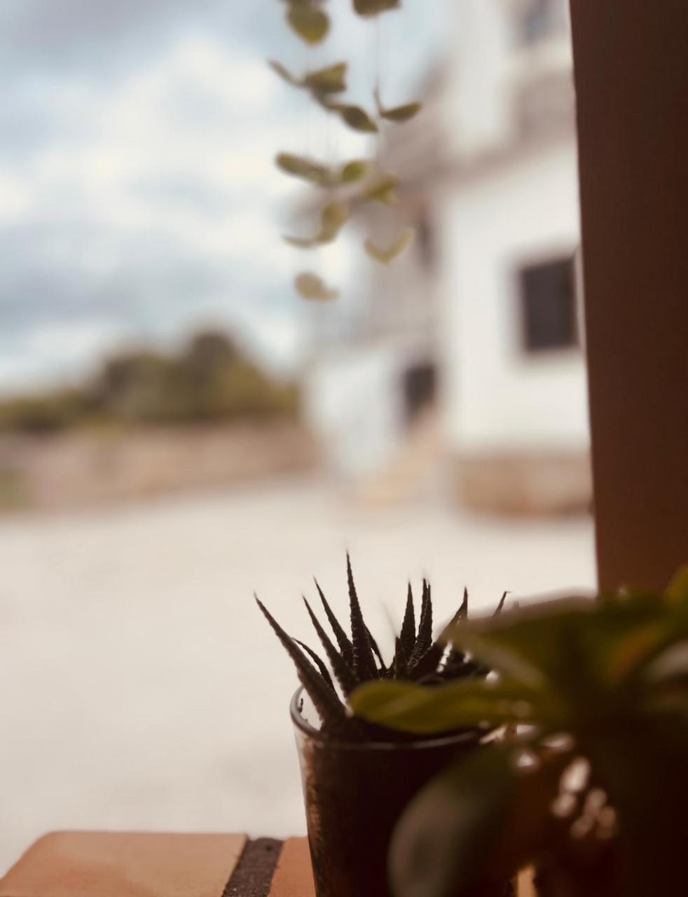 Quinta Jr - Casa De Campo Carregal  Екстериор снимка